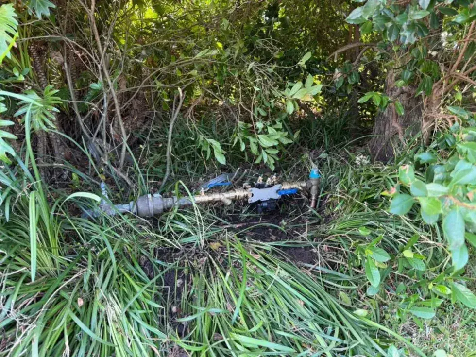 Boundary backflow assembly in a garden bed, Budgewoi.