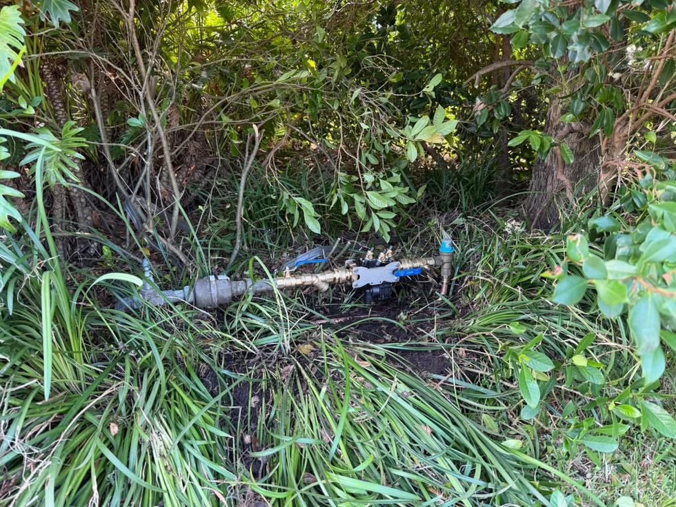 Boundary backflow assembly commissioned and left clear for annual testing.